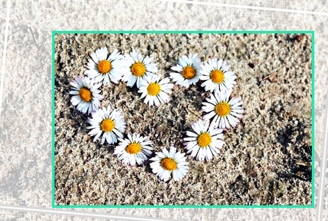 볼리비아 간결하게 정리하기